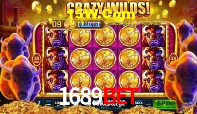 Suporte prioritário e eventos VIP